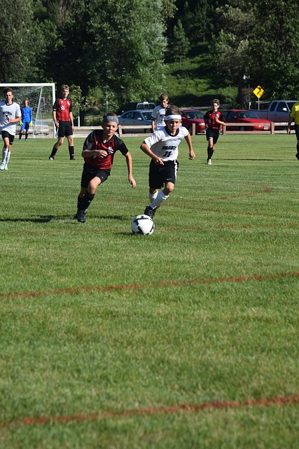 地挖掘轮换 地挖掘轮换