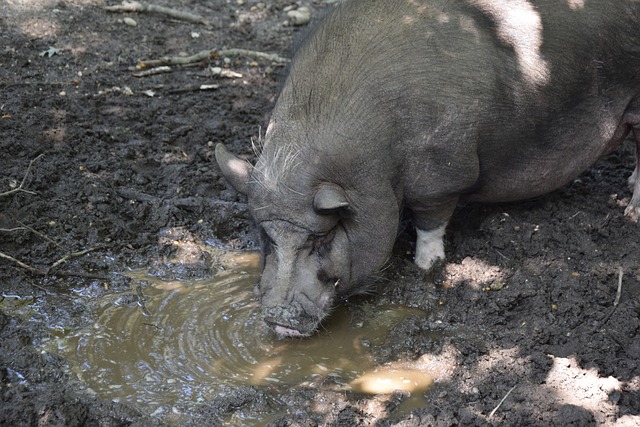 在場上冷靜 在場上冷靜
