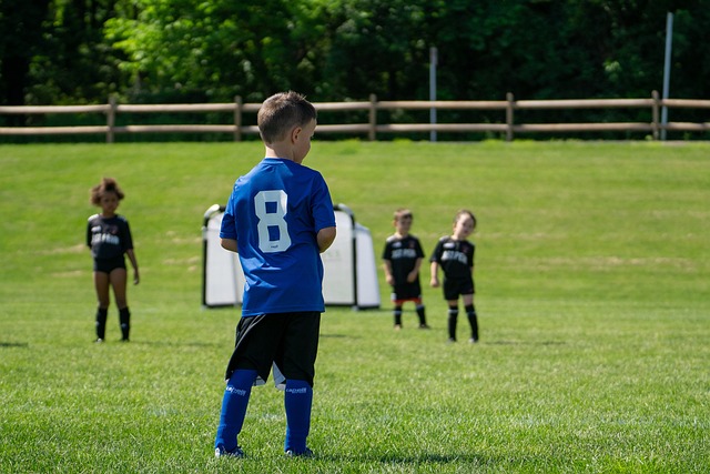将是教练组 将是教练组