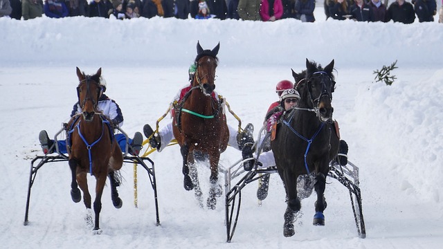 他们的放纵 他们的放纵