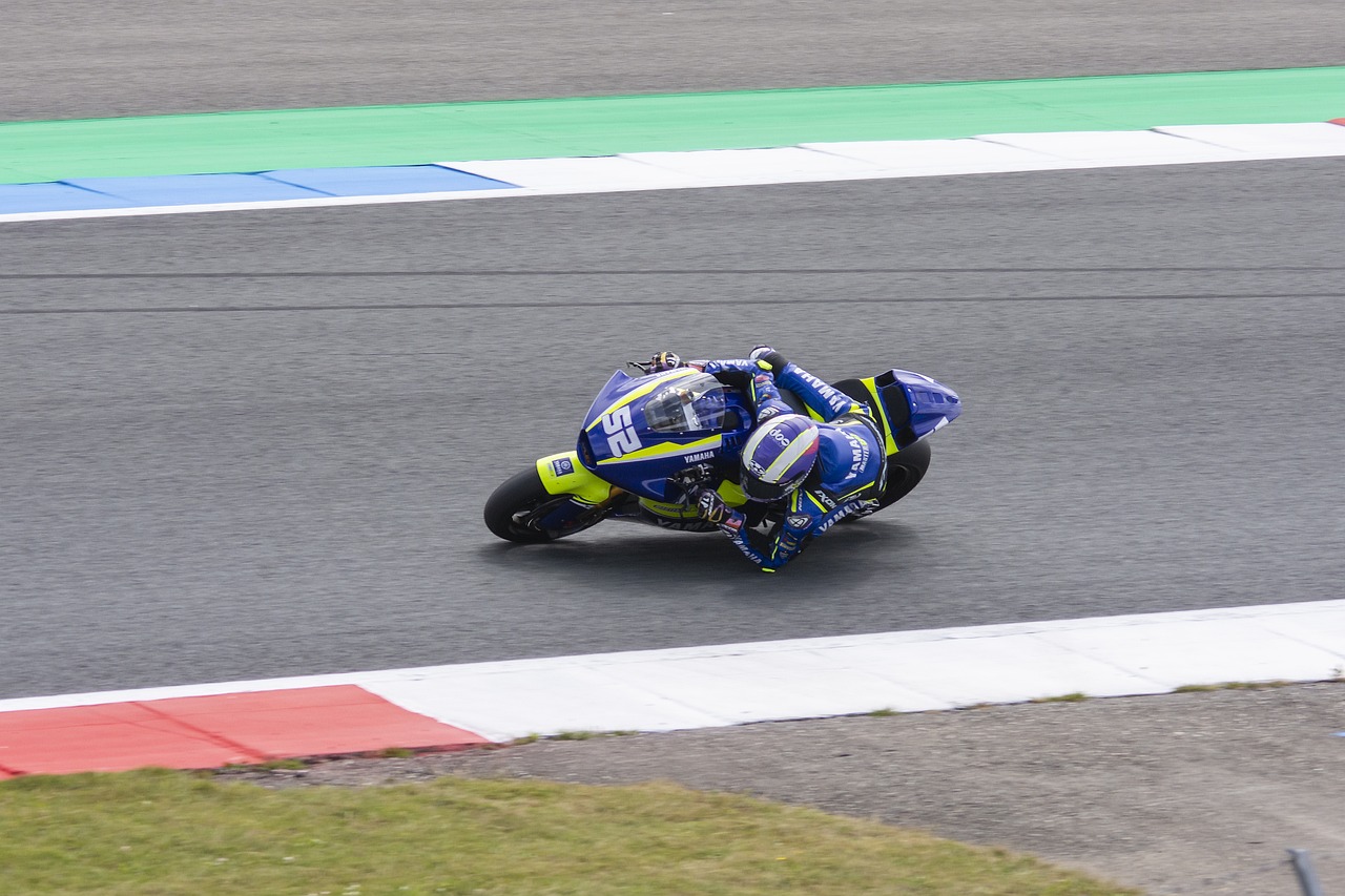 了極佳的應 了極佳的應