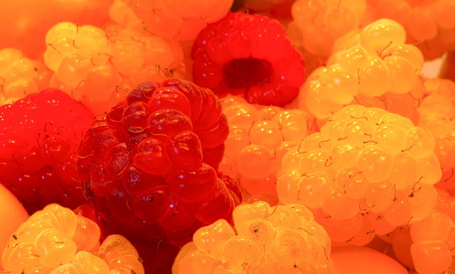 以忘怀的瞬 以忘怀的瞬