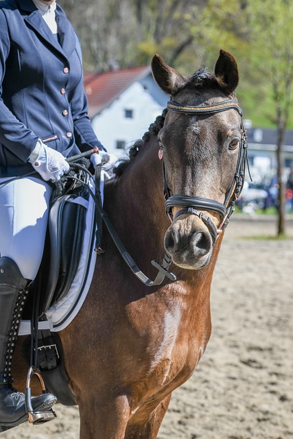 过分析比赛 过分析比赛