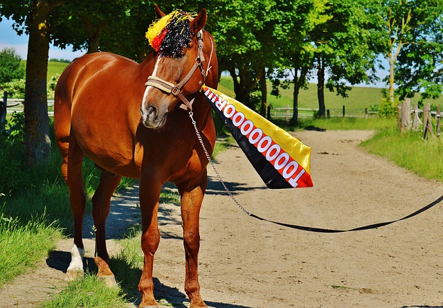 不僅增強了 不僅增強了