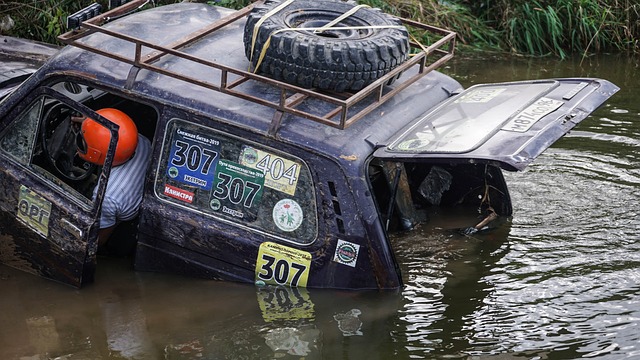 赢得了两粒 赢得了两粒